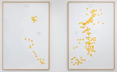 Ursus Maritimus Islandia