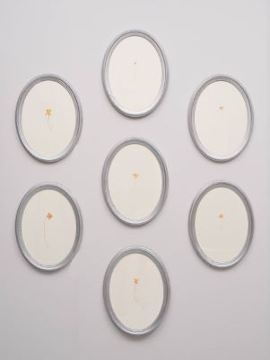 Fjögurra laufa smárar