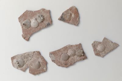 NF (Þú stefnir í voða)