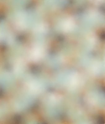 Ryð,kjötmygla,spánskgræna