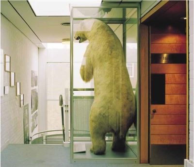 nanoq: flat out and bluesome / Dover