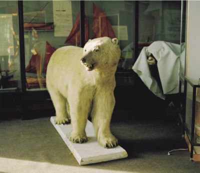 nanoq: flat out and bluesome / Peterhead