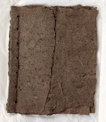 Af moldu ert þú kominn...