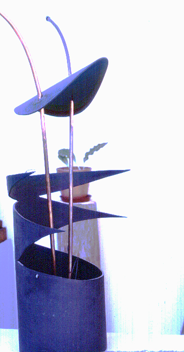 Lífið í undirdjúpunum