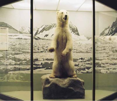 nanoq: flat out and bluesome / Sheffield