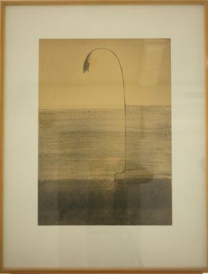 Berättelse från en resa