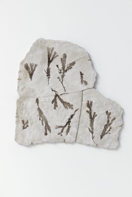 PT1 (Það flæðir að)