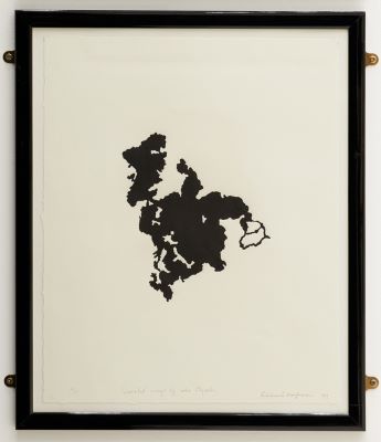 Inverted image of lake Mývatn