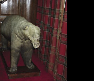 nanoq: flat out and bluesome / Blair Atholl