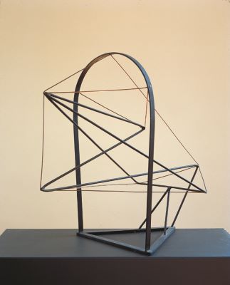 Fljúgandi framtíð