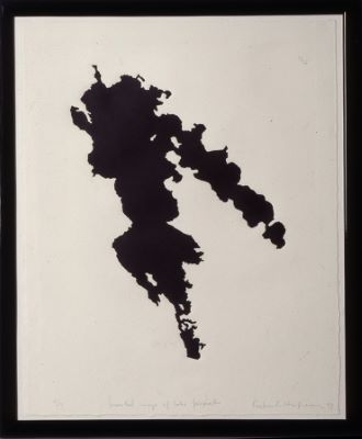 Inverted image of lake Þórisvatn