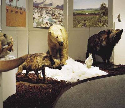 nanoq: flat out and bluesome / Leeds