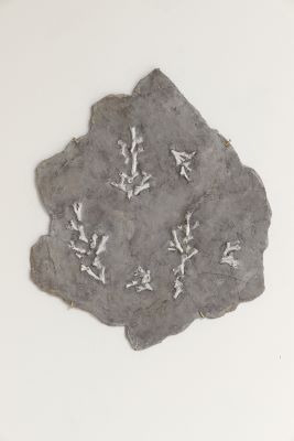 NC (Ég er í hættu og þarfnast hjálpar tafarlaust)