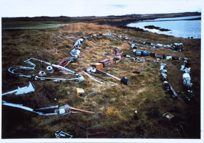 Sólskríkja, mús, kengúra