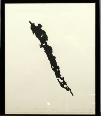 Inverted image of lake Langisjór