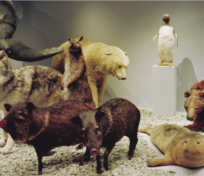 nanoq: flat out and bluesome / Sunderland