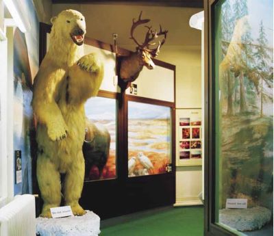 nanoq: flat out and bluesome / Kendal