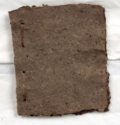 Þegar himnan rofnar