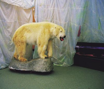 nanoq: flat out and bluesome / Bristol