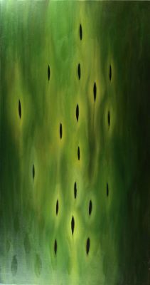 Móðurskautið djúpa