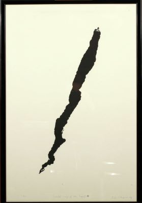 Inverted image of lake Lagarfljót