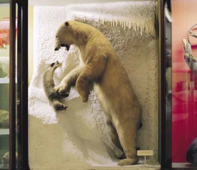 nanoq: flat out and bluesome / Norwich