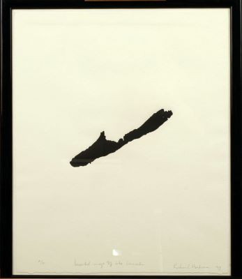 Inverted image of lake Svínavatn