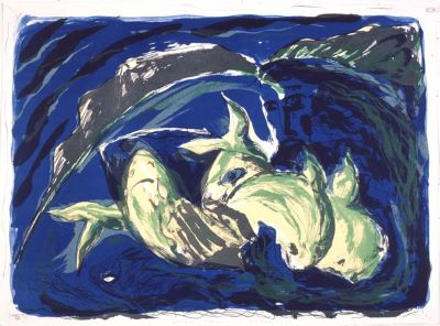 Heitir draumar í köldum sjó